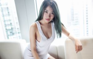法兰西特派