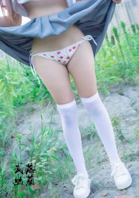 高h文小说